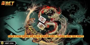 Cách Chơi Rồng Hổ Live Chuẩn Xác, Thắng Lớn Tại HBET