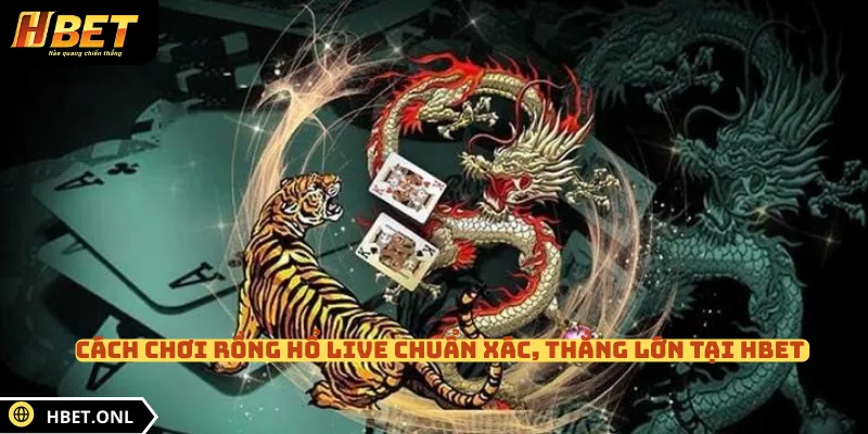 Cách Chơi Rồng Hổ Live Chuẩn Xác, Thắng Lớn Tại HBET