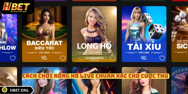 Cách chơi rồng hổ live chuẩn xác cho cược thủ