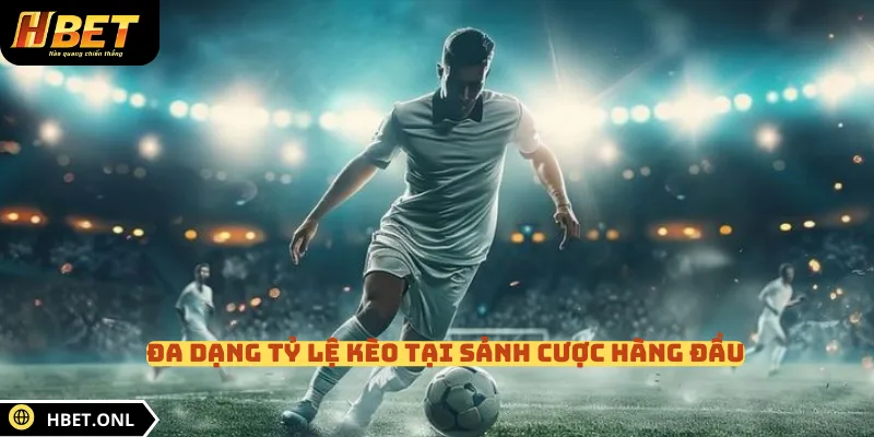 Đa dạng tỷ lệ kèo tại sảnh cược hàng đầu
