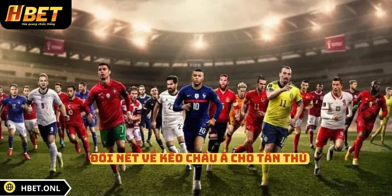 Đôi nét về kèo châu Á cho tân thủ