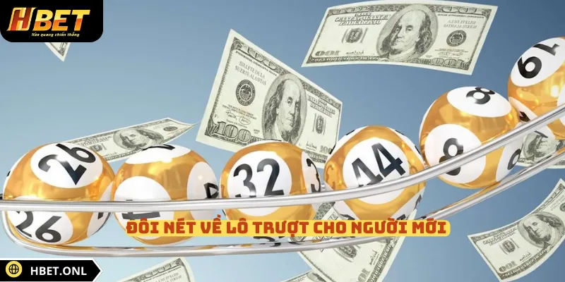Đôi nét về lô trượt cho người mới 