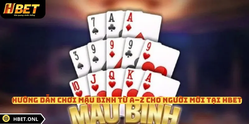 Hướng Dẫn Chơi Mậu Binh Từ A–Z Cho Người Mới Tại HBET