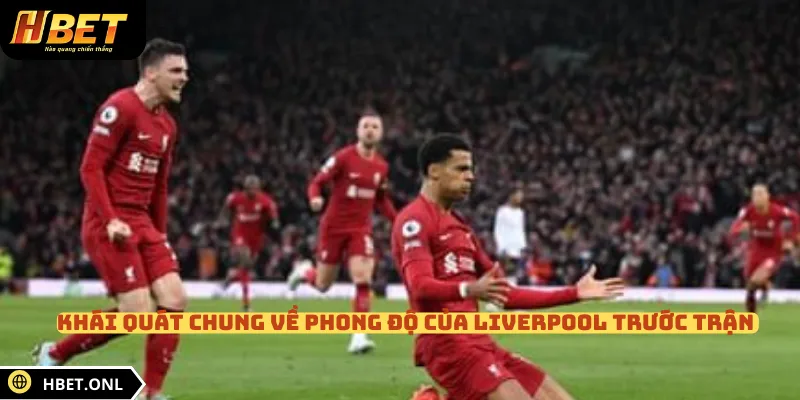 Khái quát chung về phong độ của Liverpool trước trận