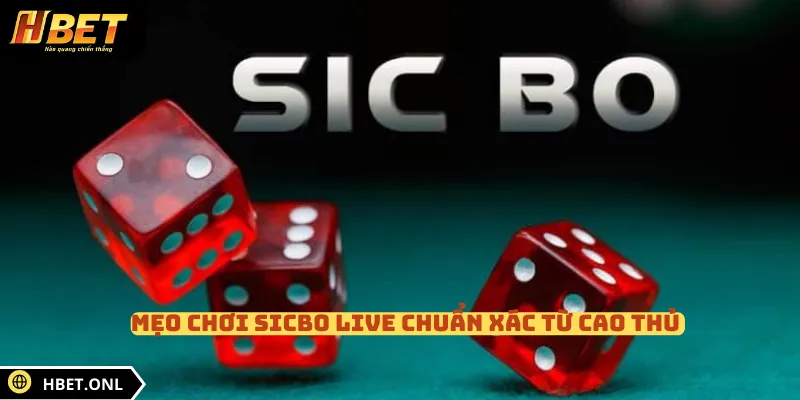 Mẹo chơi sicbo live chuẩn xác từ cao thủ 