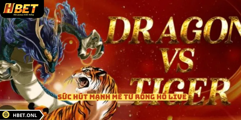 Sức hút mạnh mẽ từ Rồng Hổ Live