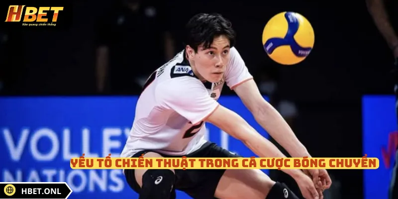 Yếu tố chiến thuật trong cá cược bóng chuyền 
