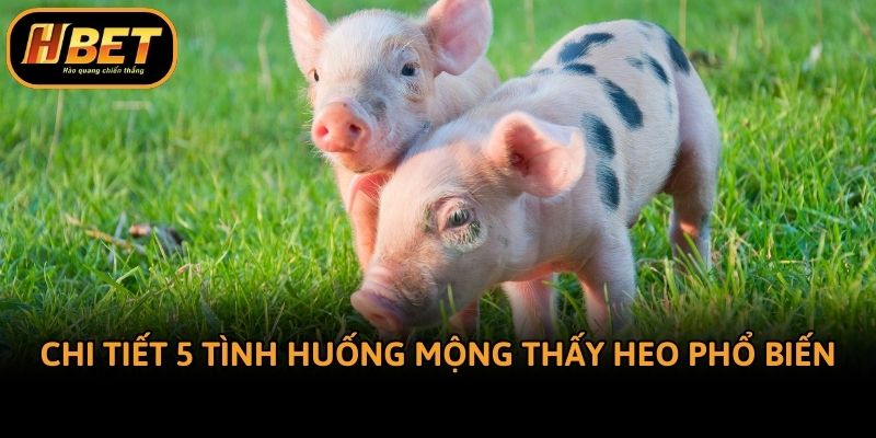 Chi tiết 5 tình huống mộng thấy heo phổ biến