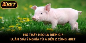 Mơ Thấy Heo Là Điềm Gì? Luận Giải Ý Nghĩa Từ A Đến Z Cùng Hbet