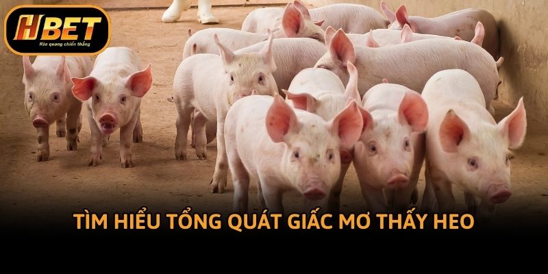 Tìm hiểu tổng quát giấc mơ thấy heo